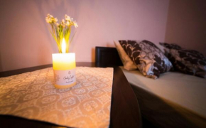 Гостиница Apartment on Teatralna 7  Львов